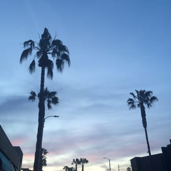 Abbot Kinney - Local Flavor Near Me Abbot Kinney - Local Flavor Near Me