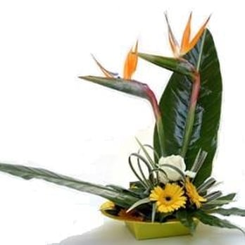 Harveys Flowers and Plants - Florists Near Me - Sheffield, XSY Harveys Flowers and Plants - Florists Near Me - Sheffield, XSY
