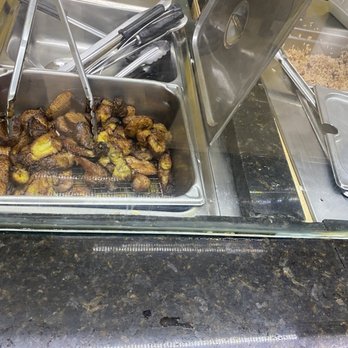 Negril Restaurant - Plantains and rice n beans - Caribbean Near Me - Orlando, Florida Negril Restaurant - Plantains and rice n beans - Caribbean Near Me - Orlando, Florida