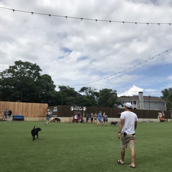 Fetch Park - Dog Parks Near Me - Atlanta, Georgia