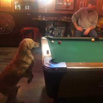 Filthy Mcnasty's Irish Bar - a man playing pool with his dog - Pubs Near Me - Reno, Nevada Filthy Mcnasty's Irish Bar - a man playing pool with his dog - Pubs Near Me - Reno, Nevada