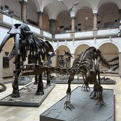 Paläontologisches Museum