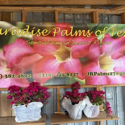 Wimberley Market Days - 5/2023