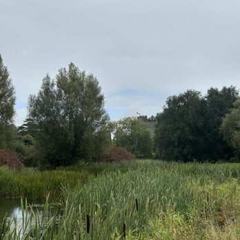 Kilkea Castle Hotel - River on property - Hotels Near Me - Castledermot, KE Kilkea Castle Hotel - River on property - Hotels Near Me - Castledermot, KE
