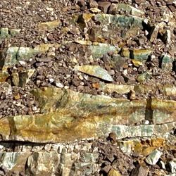 Corona Heights Park - I marvel at the distinct layers of chert