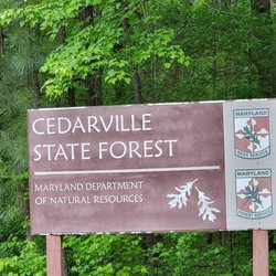 Cedarville State Forest