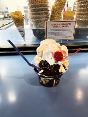 Handel's Homemade Ice Cream & Yogurt by null