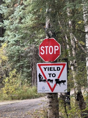 Chena Hot Springs Resort by null