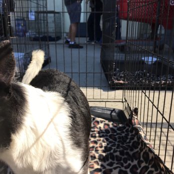 PetSmart - National PetSmart adoption weekend - Pet Stores Near Me - Stockton, California PetSmart - National PetSmart adoption weekend - Pet Stores Near Me - Stockton, California