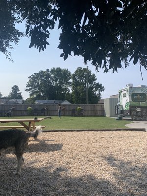 Local Oak Brewing Co. by null