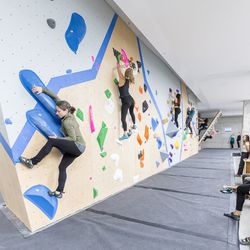 Central Rock Gym - Chelsea