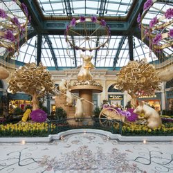 Bellagio Conservatory & Botanical Garden