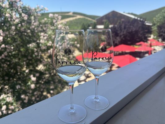 Parrish Family Vineyard by null