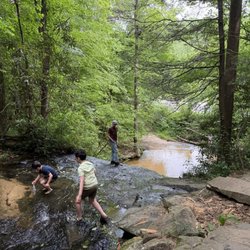 Wildcat Branch Falls
