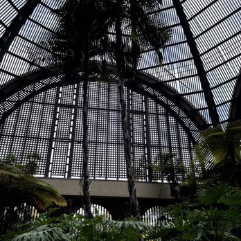 Botanical Building - Pam trees - Botanical Gardens Near Me - San Diego, California Botanical Building - Pam trees - Botanical Gardens Near Me - San Diego, California