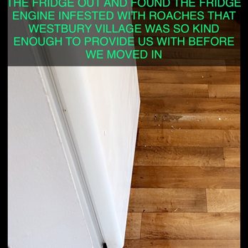 Griffin Pest Solutions - THE DIRTY ROACH INFESTED FRIDGE THAT SHOULD OF BEEN CHECKED WHEN I KEPT SAYING THEY WERE COMING FROM BEHIND THE FRIDGE FROM THE BEGINNING - Pest Control Near Me - Taylor, Michigan