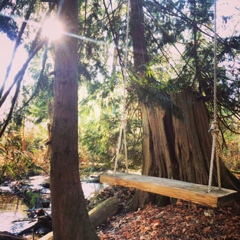 Robin Hood Village Resort - The swing by the creek. So much fun. - Resorts Near Me - Union, Washington Robin Hood Village Resort - The swing by the creek. So much fun. - Resorts Near Me - Union, Washington