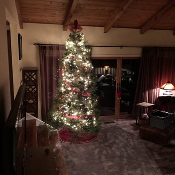 Peacock Tree Farm - Our beautiful tree from Peacock Tree Farm (12/9/18)! Thank you PTF family!! See you next year! (Kimberly M., Los Gatos, CA) - Nurseries & Gardening Near Me - Los Gatos, California Peacock Tree Farm - Our beautiful tree from Peacock Tree Farm (12/9/18)! Thank you PTF family!! See you next year! (Kimberly M., Los Gatos, CA) - Nurseries & Gardening Near Me - Los Gatos, California
