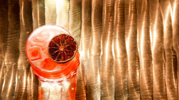 Cannon + Belle by null