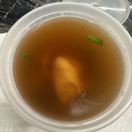 Wonton Soup