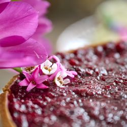 Pie Junkie - Pie Junkie Blackberry Italian Custard