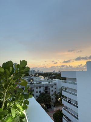 Hotel Croydon by null