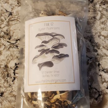 Flat #12 Mushrooms - Dehydrated mushrooms - Specialty Food Near Me - Buffalo, New York
