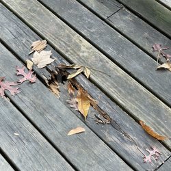 Moonshine Creek Campground - Rotten board on campsite deck