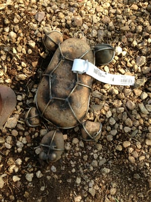 Civano Nursery - Retail Location by null