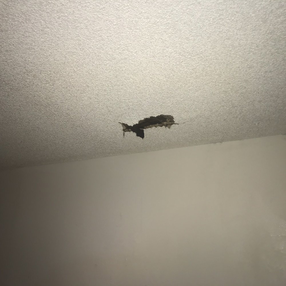 Advanced Realty Management - Hole in bedroom ceiling from leak - Commercial Real Estate Near Me - Bakersfield, California Advanced Realty Management - Hole in bedroom ceiling from leak - Commercial Real Estate Near Me - Bakersfield, California