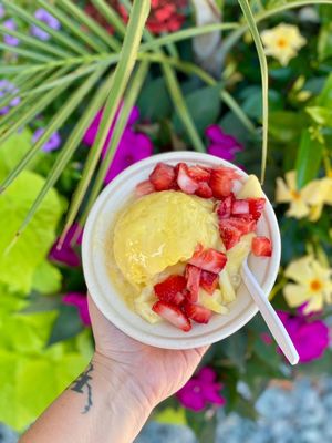 Waves Shave Ice by null