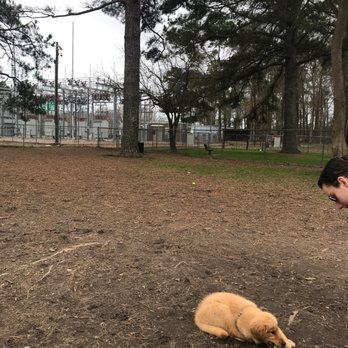 Riverside Dog Park - Dog Parks Near Me - Fayetteville, North Carolina Riverside Dog Park - Dog Parks Near Me - Fayetteville, North Carolina