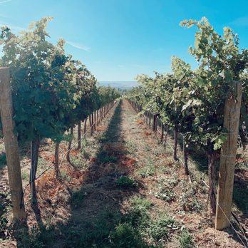 Two Mountain Winery - Wineries Near Me - Zillah, Washington Two Mountain Winery - Wineries Near Me - Zillah, Washington