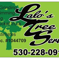 Lalo's Tree Service - We are licensed and insured tree experts who serve Tehama, glenn, and colusa counties.