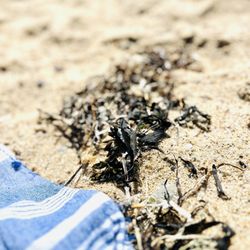 Herring Cove Beach - Rough & Smooth