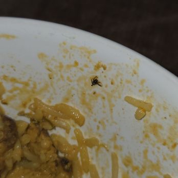 Everest Indian Cuisine - Bug in my take-out food. - Indian Near Me - Evanston, Illinois
