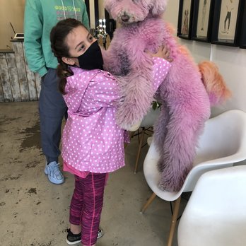 Dogue Spa - Best friends! - Pet Groomers Near Me - West Hollywood, California Dogue Spa - Best friends! - Pet Groomers Near Me - West Hollywood, California