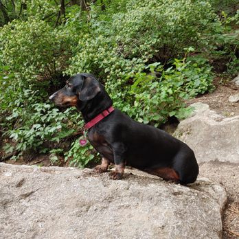 Ferguson Canyon - Hiking companion - Hiking Near Me - Cottonwood Heights, Utah