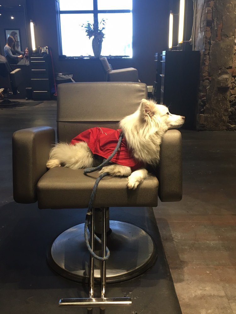 THE FITGERS SALON & SPA 16 Reviews Massage 600 E Superior St