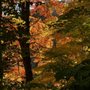 Photo of Berean Park