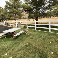 Chevron - Grassy area for fur kids to have a potty break is a plus @ Chevron - 10/18/17