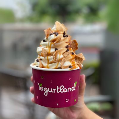 Yogurtland Garland by null