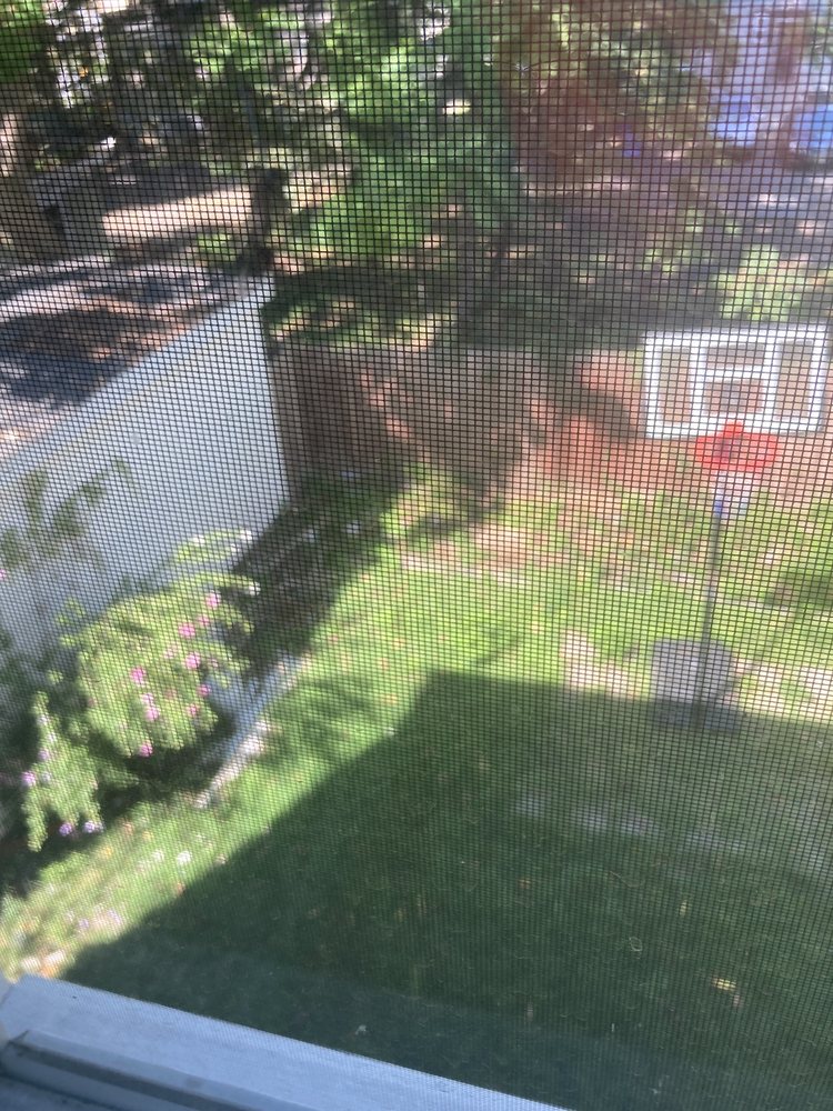 Woods landscaping - tree service in Newark, NJ