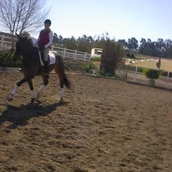 Sycamore Trails Stables