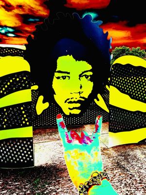 Jimi Hendrix Park by null