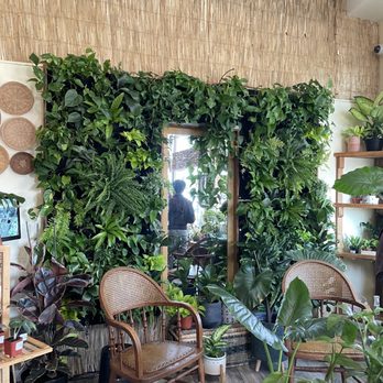 Pamana Plantas - Nurseries & Gardening Near Me - Berkeley, California Pamana Plantas - Nurseries & Gardening Near Me - Berkeley, California