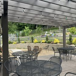 Mountain Dog Coffee - Dog park