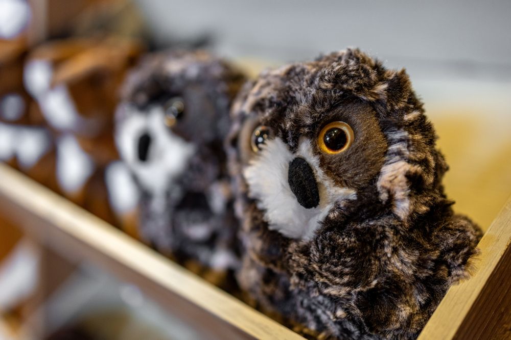 Outdoor Heritage Museum