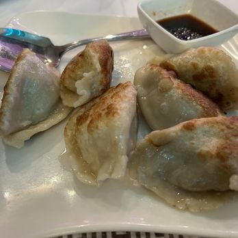 Dynasty - Pork dumplings pan fried - Cantonese Near Me - Boston, Massachusetts