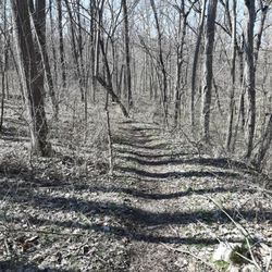 Gelder Park - Nature trail